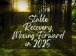 穩(wěn)健復蘇，2025向前行                                                                                                                                          